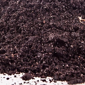 finished pumice-enhanced compost